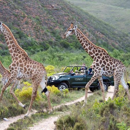 Gondwana Game Reserve Kleinberg Exterior foto