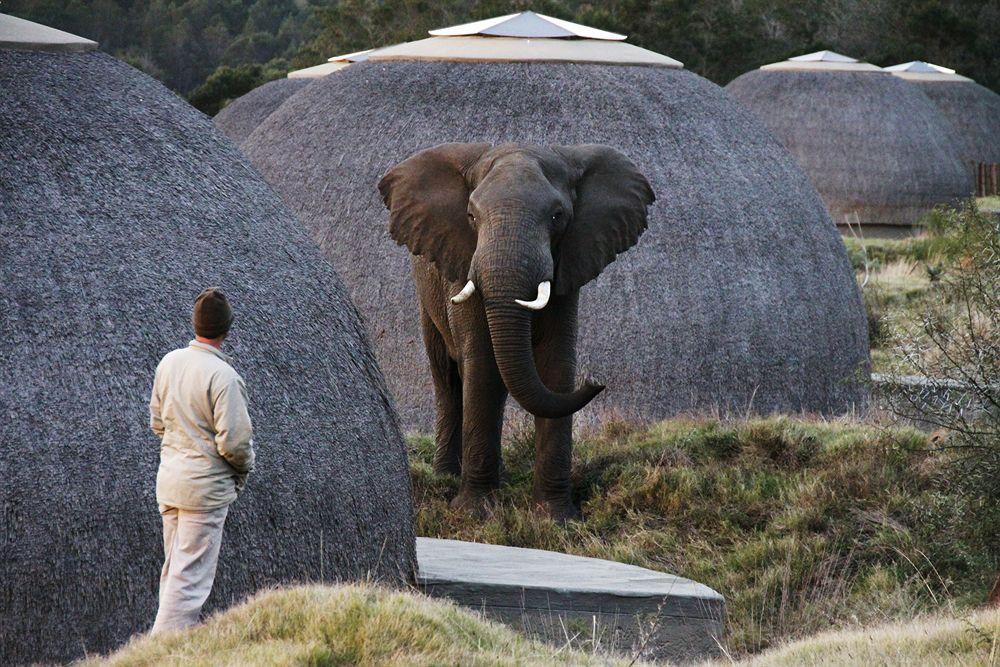 Gondwana Game Reserve Kleinberg Exterior foto