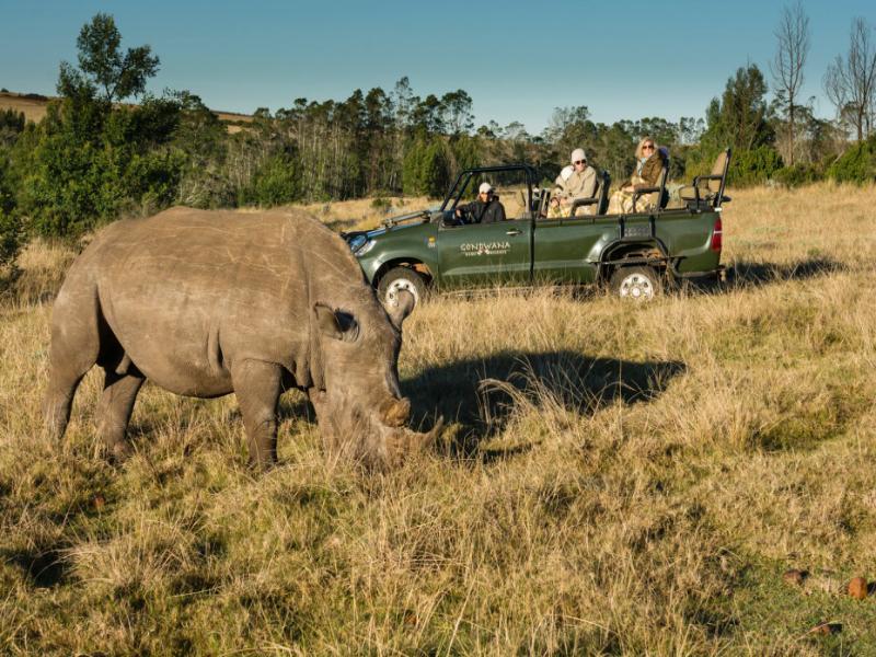 Gondwana Game Reserve Kleinberg Exterior foto