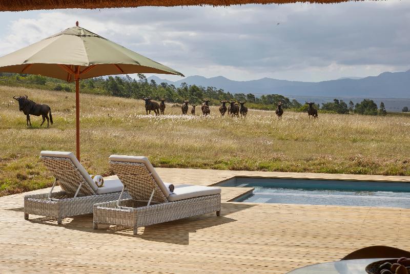 Gondwana Game Reserve Kleinberg Exterior foto